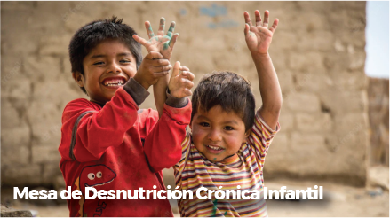 Desnutrición Crónica Infantil